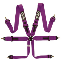 6-Punktsbälte Pro Plus FIA - Lila QSP Products
